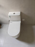 东鹏（DONGPENG）官方马桶家用坐便器大冲力漩涡虹吸式轻音节水防臭抽水普通马桶 【W633105】360°涡旋虹吸劲冲 250/300/350/400坑距下单留言或联系客服备注 实拍图