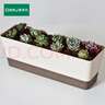 奥美优长方形花盆栽种菜神器家庭阳台加厚长条形带托盘多肉花盆不含绿植 实拍图