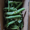 京喜加云南带壳甜豆农家自种现摘现发 带壳甜豆2斤 实拍图