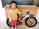 Nabiis那贝斯儿童自行车6-10-12岁超轻铝合金青少年学生单车20寸高配粉 实拍图