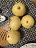 【产地直采】河北老树皇冠梨4粒 约1.2kg 实拍图