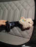 贝莱康孕妇安全带(辅助带)非汽车专用产妇防勒肚车载孕晚期防撞神器 实拍图