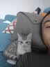 派乐特猫窝踩奶软垫猫垫睡觉用猫垫子狗窝宠物垫子狗垫猫咪垫毛毯M 实拍图