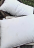 水星家纺枕头枕芯酒店枕头护颈枕头芯家用一对纯棉抗菌可水洗低枕48x74cm 实拍图