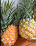 正宗海南金钻凤梨新鲜现货手撕大果巨大号多汁不需挖眼水果包邮 金钻凤梨净重4.5-5斤3-5个 【小果】 实拍图