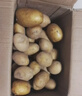 【今年新货】黄心土豆新鲜当季农家自种沙地粉糯黄心鲜土豆马铃薯 【黄皮土豆现挖新货】净重5斤 实拍图
