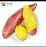 京鲜生&家美舒达 山东特产 黄心蜜薯  红薯地瓜 5斤 出口级 新鲜蔬菜 实拍图