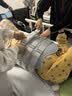 冠爱医用胸腰椎固定支具腰间盘压缩性骨折术后护具矫形器高档女款XL码 实拍图