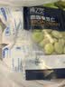 浦之灵田园蚕豆仁300g/袋 带皮蚕豆 健康轻食 冷冻蔬菜 实拍图