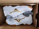 美津浓（MIZUNO）CYCLONE SPEED CN排球鞋综合室内外训练鞋男女款羽毛球鞋乒乓球鞋 白金 【颜值与实力并存】 39 =250mm 实拍图