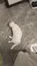 疯狂的主人猫抓板立式贴墙剑麻猫抓垫猫窝防猫抓地毯耐磨不掉屑耐抓猫抓板 实拍图