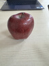 京鲜生甘肃天水花牛苹果 又大又红 净重4.5斤 单果240g以上 生鲜水果 实拍图