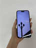TEHAOLA【360磨砂防窥膜】适用苹果17promax钢化膜磨砂防窥iPhone16Promax手机膜苹果15Pro磨砂14防偷窥 【2套装】360°防窥磨砂膜+无尘仓神器丨顺滑灵敏 苹果17/1 实拍图