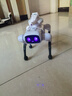 盈佳智能ai机器狗rc遥控车早教编程机器人儿童玩具男女孩生日礼物 实拍图