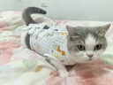 华元宠具（hoopet）猫咪绝育服宠物母猫小狗狗幼猫手术服透气断奶服公猫防舔术后衣服 实拍图