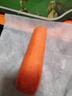 河南新鲜带泥胡萝卜农家水果萝卜应季早餐蔬菜红薯营养减脂食品 胡萝卜3斤净重 200g+/支 实拍图