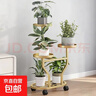 绿有意绿植盆栽多肉花卉盆栽植物室内桌面水培绿植办公室客厅植物懒人 3盆自选】植物和盆颜色请备注 实拍图
