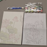 苏拉达(Surada)数字油画 数字油画diy儿童手工初学美术绘画套装中国风景画创意油彩画 20*30cm荷花TX003 实拍图