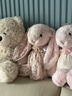 Jellycat害羞乳白色邦尼兔动物毛绒玩偶安抚玩偶娃娃送礼520礼物 害羞粉色邦尼兔 Medium 实拍图
