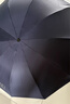 天堂伞 双人晴雨伞三折 太阳伞三折10骨加大双人超大加固 深邃蓝 实拍图