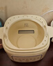 九阳（Joyoung）电炖锅热水快炖多功能锅2.8L电炖盅炖汤盅燕窝锅养生锅宝宝辅食bb粥迷你煮粥煲汤锅白瓷GD328 实拍图