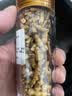冬虫夏草断草虫草断草虫草断虫草自食10克送1克 营养滋补品 藏区精品大断草买30克送3克 实拍图