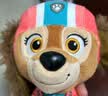汪汪队立大功（PAW PATROL）汪汪队玩具毛绒全套狗狗玩偶公仔男女孩玩具旺旺队儿童生日礼物 经典款-贝贝公仔 小号-坐高约15.2CM 实拍图