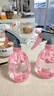 喷壶浇花浇水喷雾器气压式喷水壶家用园艺养花500ml 南瓜喷壶透粉【2个装】 实拍图