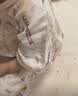 贝肽斯婴儿睡袋春夏胎脂皮儿童分腿睡袋婴幼儿防踢被睡衣前4后2 初声S 实拍图