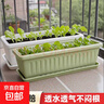 塑料花盆加大特大号 阳台仿陶瓷苗木盆景育苗盆长方形养花种菜盆 绿色-种菜盆带托 400#长40cm宽17.5cm高13cm 实拍图