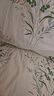 洁丽雅（Grace）7A抗菌100%纯棉四件套新疆棉床上用品床单被套150*200cm0.9/1.2米床 实拍图