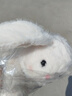 名创优品（MINISO）塔妮兔乖乖坐姿公仔兔子毛绒玩具儿童玩偶抱枕娃娃送礼生日礼物 实拍图