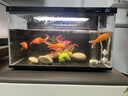 米家智能生态鱼缸定时喂食智能鱼缸+画法几何增氧泵套装 实拍图