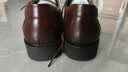 百丽（Belle）通勤商务皮鞋男新真皮德比鞋通勤正装鞋3UX01CM5 棕色-3UX01 41 (255mm) 实拍图