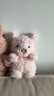 Jellycat小猪可爱公仔动物毛绒玩偶小玩偶娃娃送礼生日礼物 粉红色 Little 实拍图