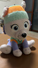 汪汪队立大功（PAW PATROL）毛绒玩具狗狗陪睡玩偶经典款珠珠中号坐姿可爱公仔男女孩生日礼物 实拍图