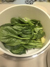 【24小时菜】菠菜苗250g(长度≤20cm) 实拍图