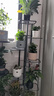 蜗家花架客厅落地式阳台置物架多肉花盆架室内外多层铁艺植物展示架 实拍图