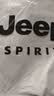 JEEP SPIRIT吉普POLO衫男士卫衣春秋季宽松长袖翻领t恤衫上衣男 灰绿 2XL 实拍图