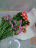 3.18节勿忘我鲜切花真花客厅餐桌插花摆件送人礼物 勿忘我2束（2-5个颜色）约400g效果更好 实拍图