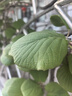 斯纳恩（Snaen）儿童玩具车男孩3-6岁合金工程货柜车小汽车故事机六一儿童节礼物 实拍图