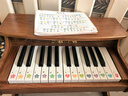 NEW CLASSIC TOYS儿童钢琴玩具木质电子琴男女孩音乐早教一岁婴儿宝宝生日周岁礼物 25键胡桃木色【木质电子钢琴】 荷兰品牌 小钢琴益智玩具1-3-6岁 儿童节日礼物 实拍图