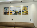 Sixpoetry 客厅装饰画现代简约沙发背景墙壁画轻奢三联晶瓷画大气高档挂画 福禄双收（铝合金外框） 镶钻画左右50*70+中间100*70亮面 实拍图