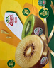 佳沛（zespri）新西兰 新果季 阳光金奇异果16粒礼盒经典果单果 88-103g  猕猴桃 实拍图