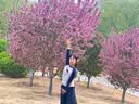 迪士尼女童打底裤春秋儿童灰色连裤袜女孩7A抗菌打底舞蹈袜ZS160309 灰M 实拍图
