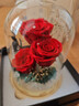 依雯然（Ivenran）生日礼物送女生情人节520永生花结婚礼物玫瑰花束小夜灯摆件 实拍图