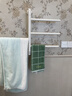 科勒（KOHLER）小号电热毛巾架家用卫生间浴巾架浴室智能浴室加热发热毛巾烘干架 29355T-A-0雾面白暗装 实拍图