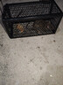 MEN WOO老鼠笼 老鼠捕捉器捕鼠笼神器家用全自动灭鼠一窝端抓捉老鼠夹子 实拍图