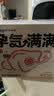 爱康尼孕妇口罩KP95防甲醛专用防二手烟新办公室防病毒灭菌高颜值白色 实拍图