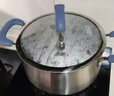 爱仕达（ASD）汤锅 304不锈钢蒸锅C味黛丽舍系列炖煮22CM燃气电磁炉通用GL1722B 实拍图